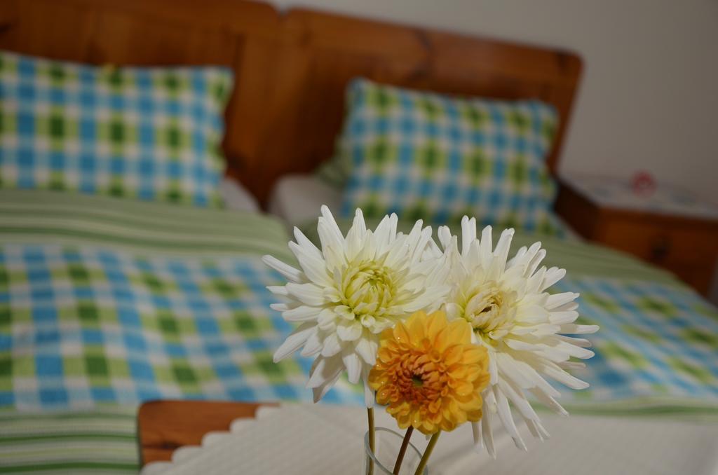 Haus Dachstein Schnitzer Hotel Eben Im Pongau Room photo